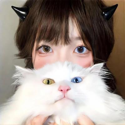 嗨！我的新家2020